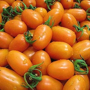 高雄美濃㊣橙蜜香小番茄