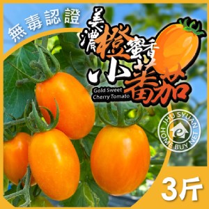 免運!【家購網嚴選】高雄美濃橙蜜香小番茄 3斤 3斤/箱 (9箱，每箱295元)