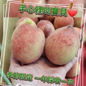 紅鈴水蜜桃 規格：900g±5%，8顆裝