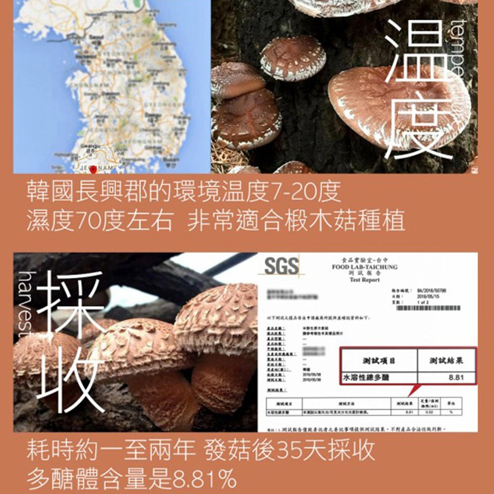 韓國長興郡的環境温度7-20度，濕度70度左右非常適合极木菇種植，食品實驗室-台中，中時党: Mw，测試项目，测試结果，水溶性總多關，第洲试结果。不對4品金法性假列新。耗時約一至兩年 發菇後35天採收，多醣體含量是8.81%。