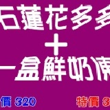 石蓮花多多一排32瓶+鮮奶凍 特價310==(請在註明欄寫上鮮奶凍口味)…限桃園地區訂購 特價：$310