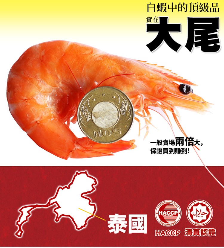 白蝦中的頂級品，一般賣場兩倍大,保證買到賺到!حلال，HACCP 清真認證。