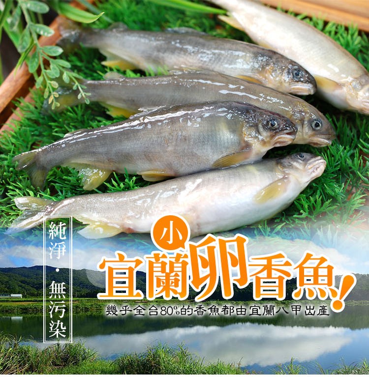 純淨·無污染，幾乎全台80%的香魚都由宜蘭八甲出產。