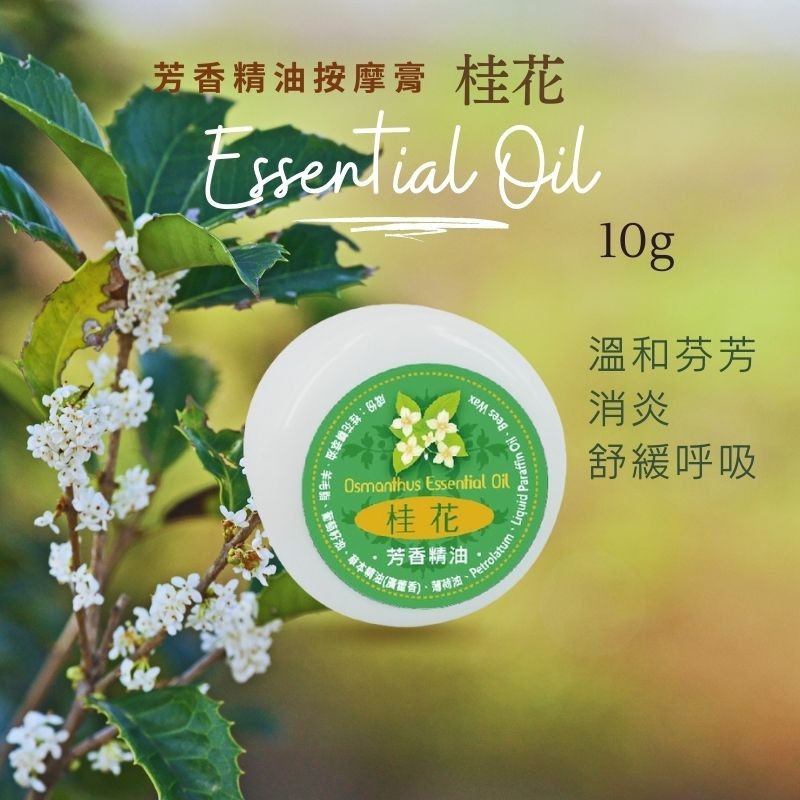 芳香精油按摩膏 桂花，成份:桂花精萃油，芳香精油，Petrolatum、Liquid Paraffin Oil、Bees Wax，草本精，溫和芬芳，舒緩呼吸。