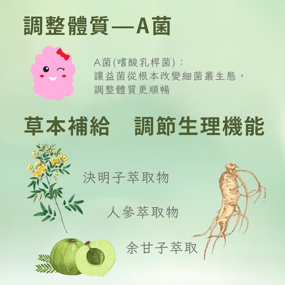 調整體質-A菌，A菌(嗜酸乳桿菌):讓益菌從根本改變細菌叢生態,調整體質更順暢，草本補給 調節生理機能，決明子萃取物，人參萃取物，余甘子萃取。