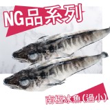 NG南極冰魚