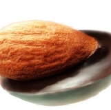 Flora 果乾巧克力-杏仁果口味 大顆的杏仁果搭配比利時的頂級巧克力~獨特的口感及香脆~就等您來品嚐~ 特價：$85