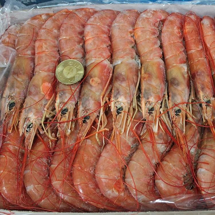 免運!【生食級】2公斤巨無霸刺身級天使紅蝦/約30~36隻 2000公克/盒。約30~36隻裝 (3盒,每盒1104.4元)