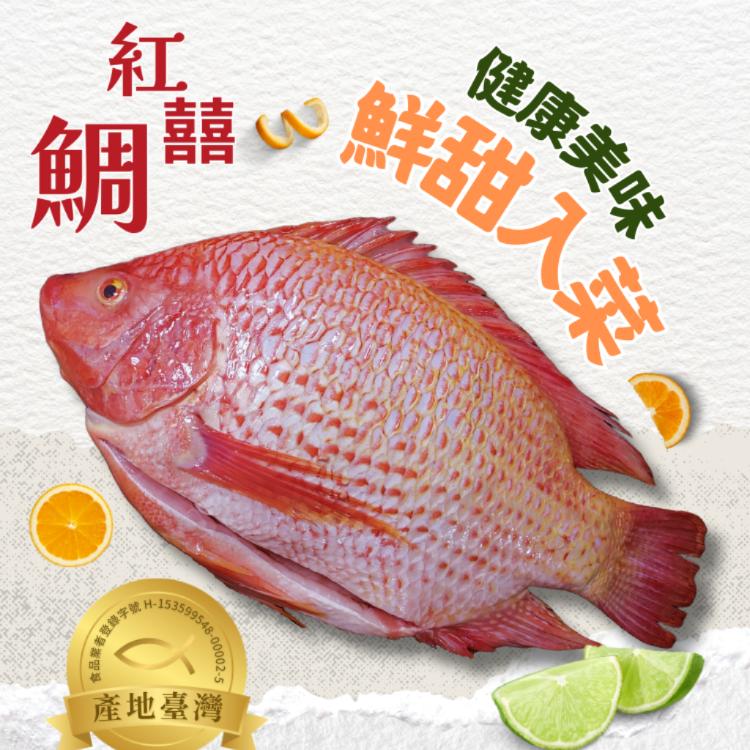 LemnaAsta-紅囍鯛驚喜推薦 蝦紅素魚大尾 (600g/隻組) (三去後實際重量)