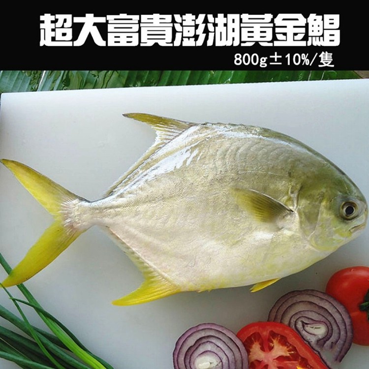 免運!【喬大】超大野生黃金鯧魚  800G10/隻