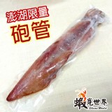 澎湖巨無霸砲管