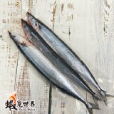 秋刀魚