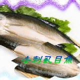 牛奶魚－無刺虱目魚 台灣在地養殖