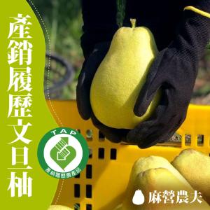 免運!【麻營農夫】麻豆文旦柚禮盒(產銷履歷) 10台斤/1箱 (2箱，每箱580.6元)