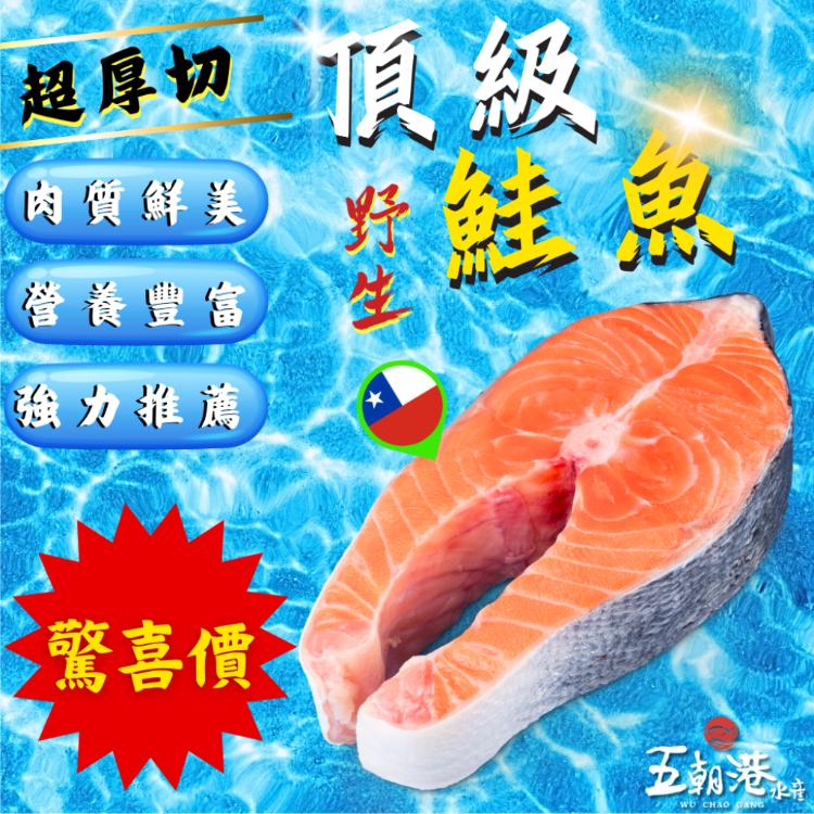 【五朝港水產】超厚切頂級智利|野生鮭魚|極致鮮嫩|豐富營養|魚肉鮮嫩