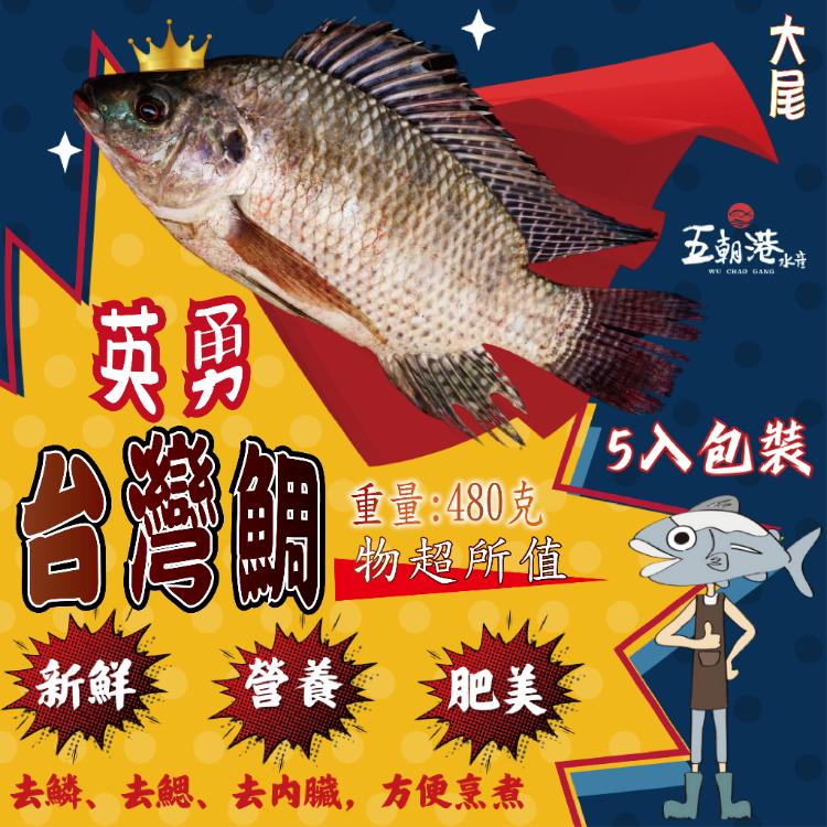 【五朝港水產】 優質台灣鯛|嚴選吳郭魚|新鮮美味|支持台灣特有漁特產|無腥味|無土味|肉質鮮美