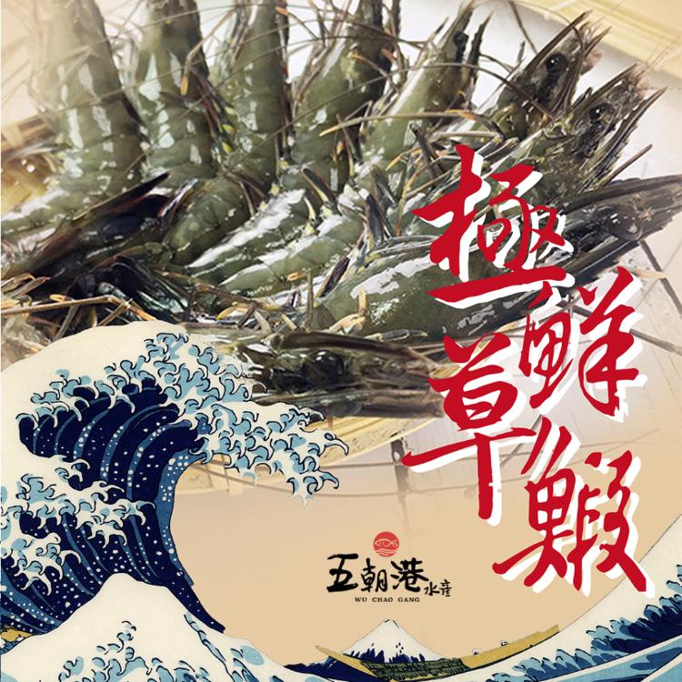 【五朝港水產】 極鮮草蝦-12P|極緻鮮甜|頂級活凍草蝦|肉質Q彈|限時大促銷