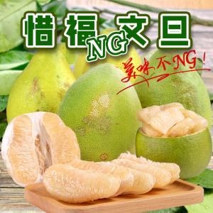 【麻牽柚緣】惜福NG文旦