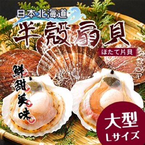 日本進口大顆級半殼扇貝500g