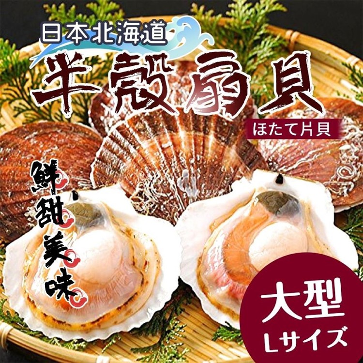 日本進口大顆級半殼扇貝500g