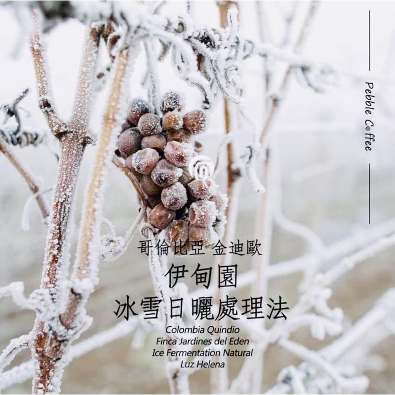 哥倫比亞 金迪歐，伊甸園，冰雪日曬處理法。