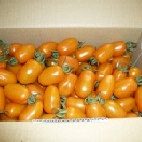 橙蜜香蕃茄5斤 促銷方案6箱同一收貨地點就免運費哦!