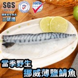 挪威當季野生薄鹽鯖魚 特價：$29