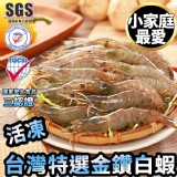 台灣特選SGS金鑽白蝦 特價：$129