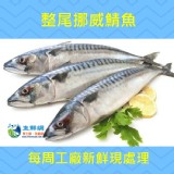 整尾挪威薄鹽鯖魚x2