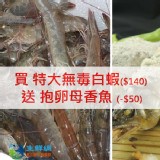 SGS藥殘認證活凍生態養殖白蝦(特大)