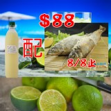 【生鮮網】產銷履歷母香魚