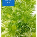 綠火焰萵苣batavia lettuce