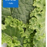 羽衣甘藍Kale