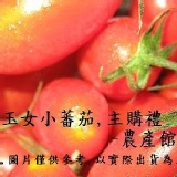 玉女小蕃茄(高檔玉女品種)