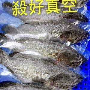 石斑魚