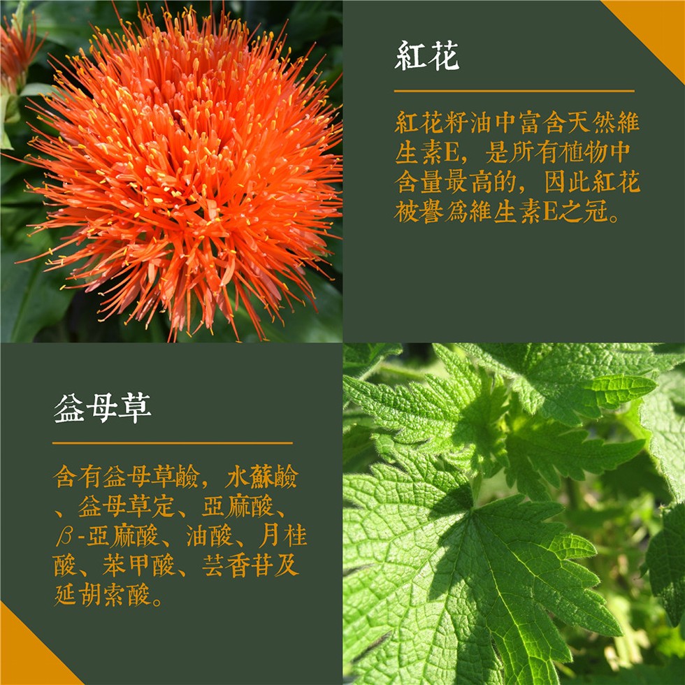 紅花籽油中富含天然維，生素E,是所有植物中，含量最高的,因此紅花，被譽為維生素E之冠。益母草，含有盆母草鹼,水蘇鹼，盆母草定、亞 麻酸、8-亞麻酸、油酸、月桂，酸、苯甲酸、芸香苷及，延胡索酸。