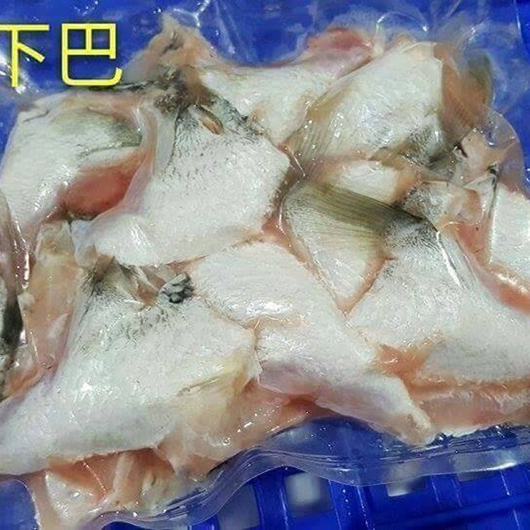 鱸魚下巴