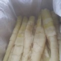 野生高山桂竹筍500g