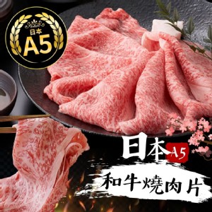 日本A5和牛燒肉片100g