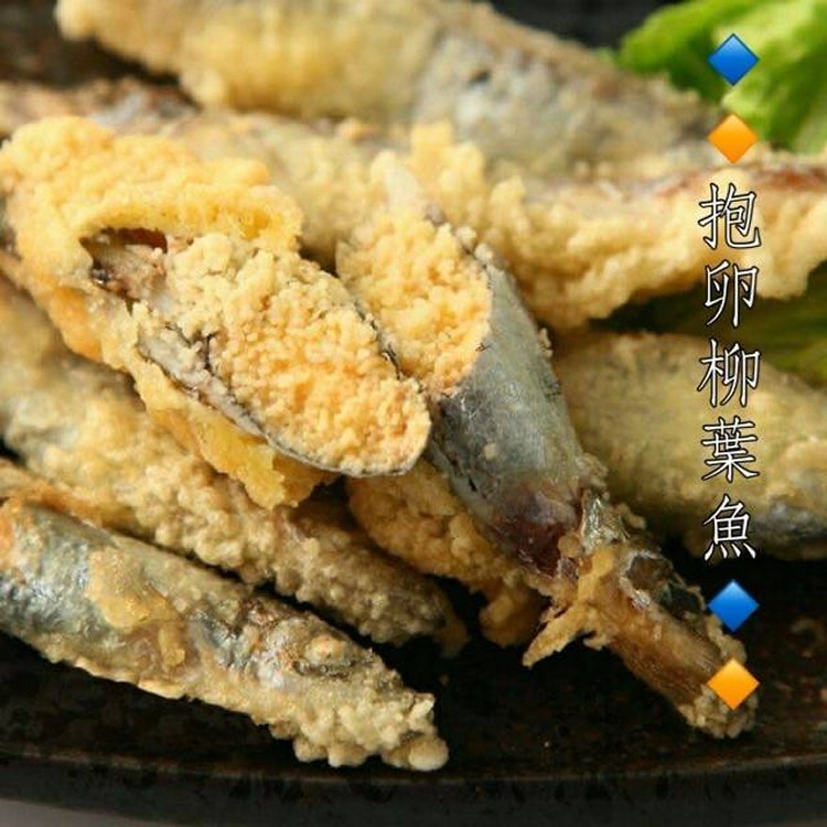 抱卵柳葉魚