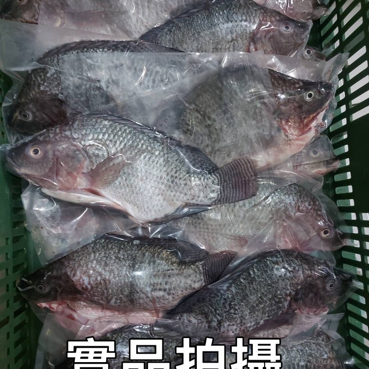 NG吳郭魚2入