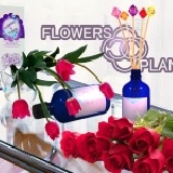 沙龍第一品牌 Flowers&Plants【保加利亞玫瑰水竹擴香精油】 30ml / 頂級進口精油 / 贈五彩鑽珠開運擴香竹 / 居家香氛 / 愉悅放鬆