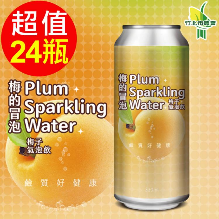 【竹北市農會】梅得冒泡有機黃梅氣泡飲-分享組