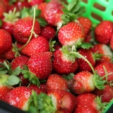 大湖草莓1.5kg