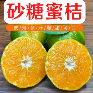 【緁迪水果】台灣新竹新埔牛奶砂糖桔禮盒 甜蜜多汁不膩口的好滋味