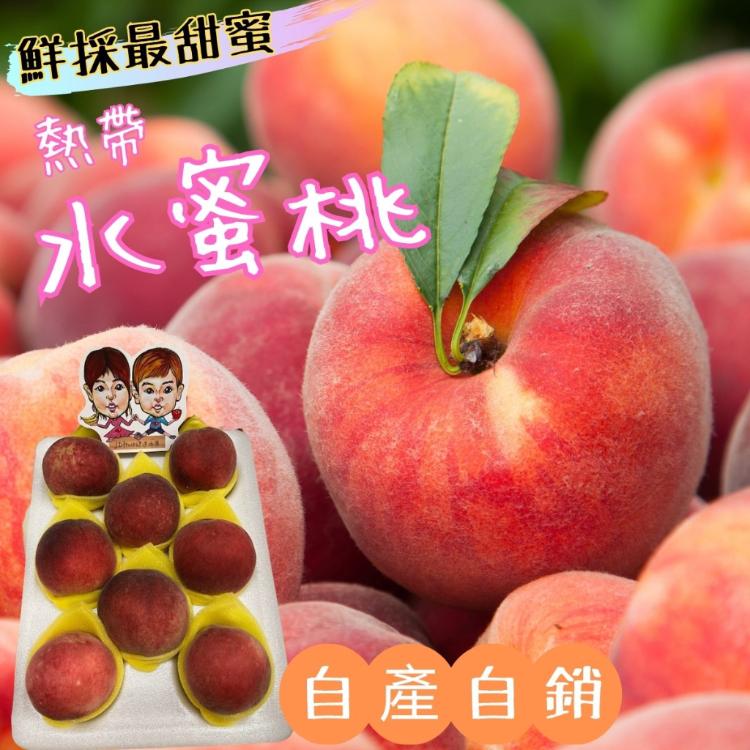 免運!【緁迪水果】自家種植-台中熱帶水蜜桃禮盒 8粒裝 (8盒,每盒744元)