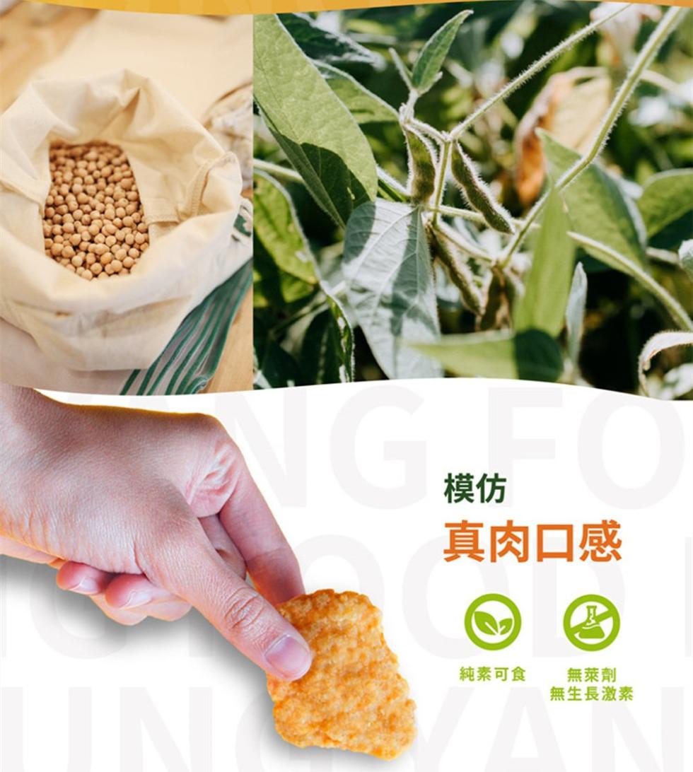 純素【Hoya弘陽食品】植物炸G塊250g/肉丸250g/漢堡排300g任選