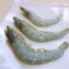 巴拿馬無毒藍蝦 XL尺寸