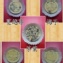 純手工綠豆糕(中秋送禮)-小盒10粒全素
