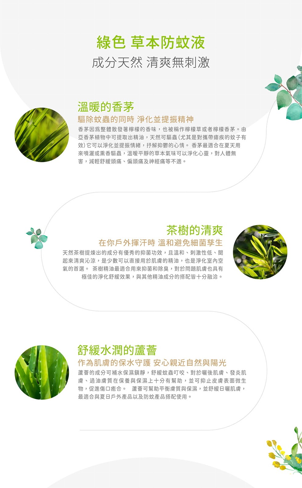 綠色草本防蚊液夜，成分天然清爽無刺激，溫暖的香茅，驅除蚊蟲的同時 淨化並提振精神，香茅因爲整體散發著檸檬的香味,也被稱作檸樣草或者檸檬香茅。由，亞香茅植物中可提取出精油,天然可驅蟲 (尤其是對攜帶雍疾的蚊子有，效)它可以淨化並提振情緒,抒解抑鬱的心情